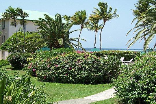 Colony Cove Beach Resort Christiansted Buitenkant foto