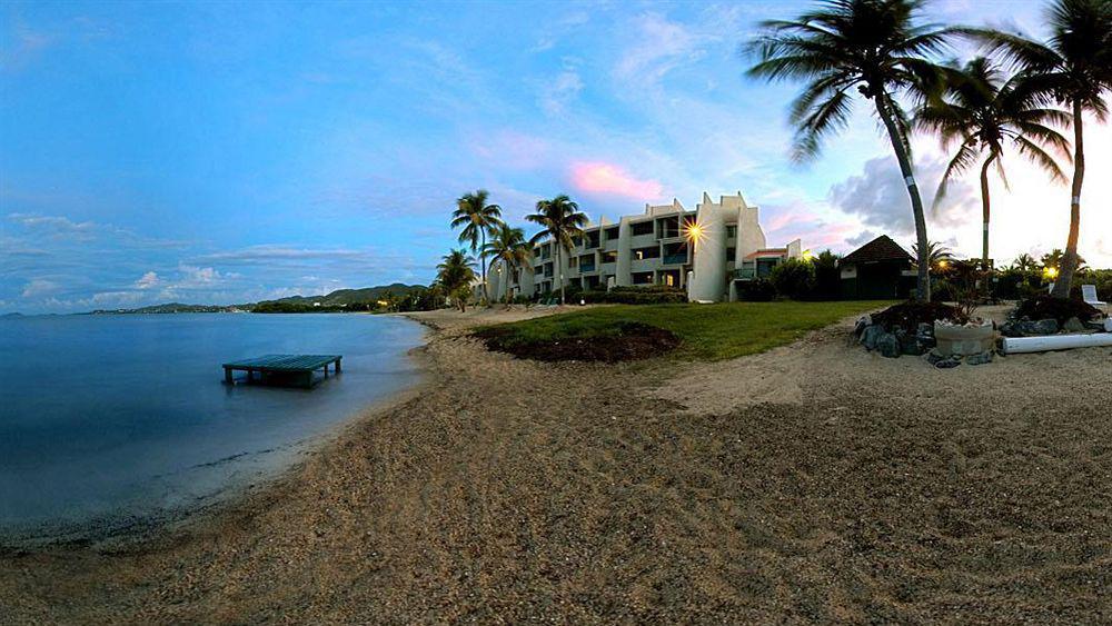 Colony Cove Beach Resort Christiansted Buitenkant foto